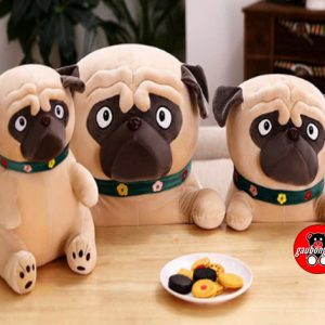 gau-bong-cho-pug-1